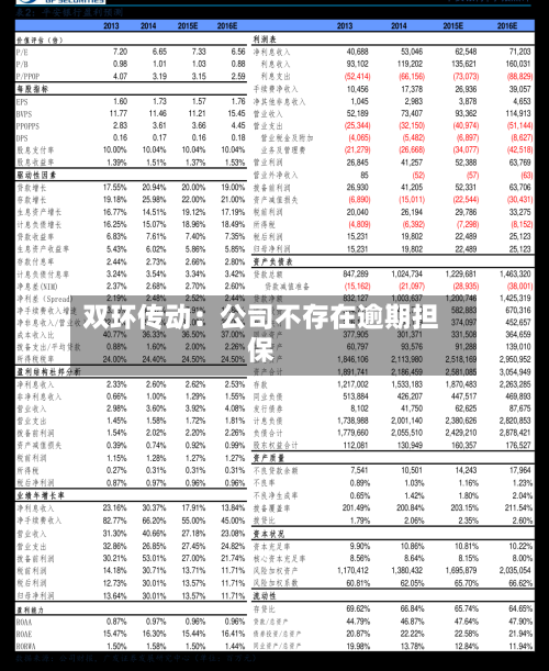 双环传动：公司不存在逾期担保-第2张图片