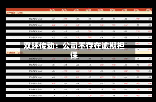 双环传动：公司不存在逾期担保-第3张图片