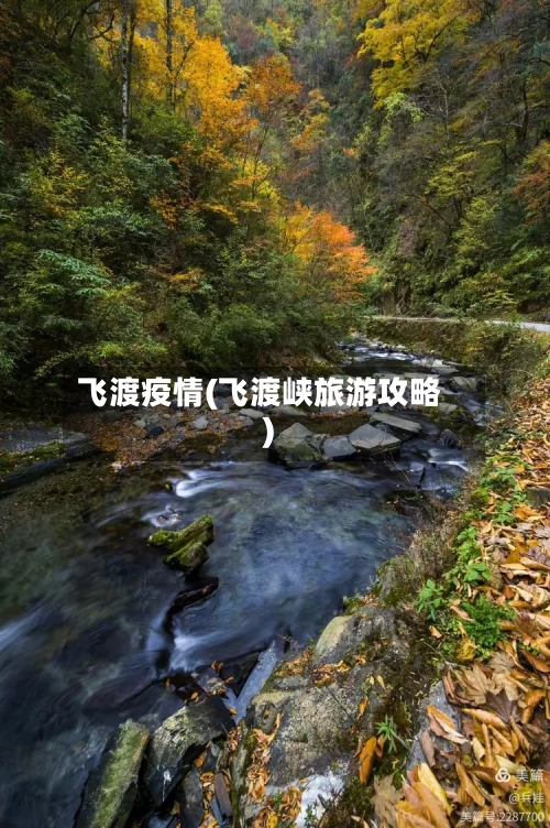 飞渡疫情(飞渡峡旅游攻略)