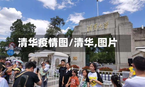 清华疫情图/清华,图片