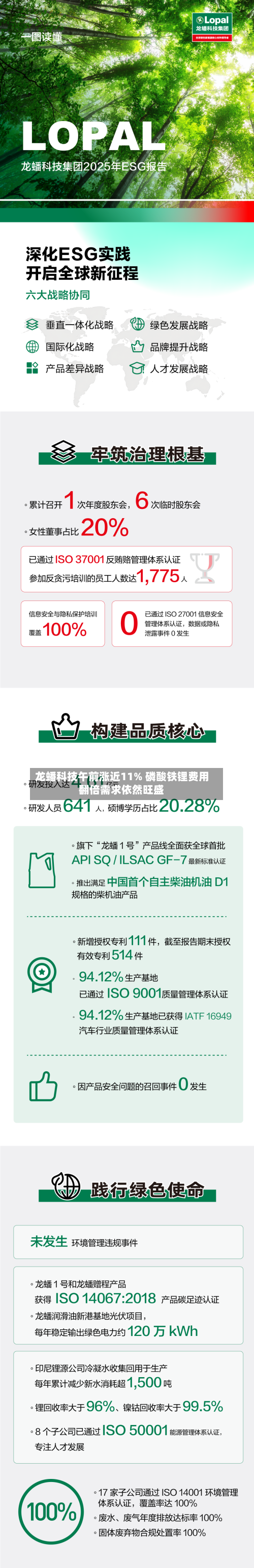 龙蟠科技午前涨近11% 磷酸铁锂费用
翻倍需求依然旺盛-第2张图片