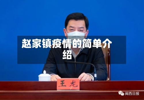 赵家镇疫情的简单介绍-第3张图片