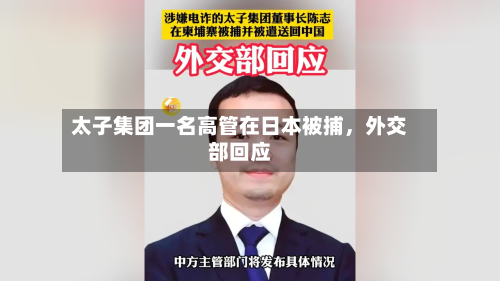 太子集团一名高管在日本被捕，外交部回应-第3张图片