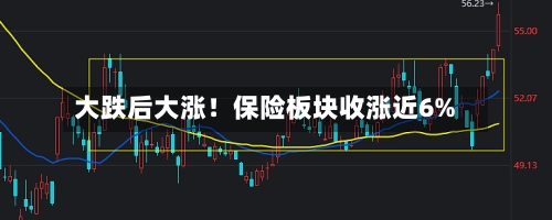 大跌后大涨！保险板块收涨近6%-第2张图片