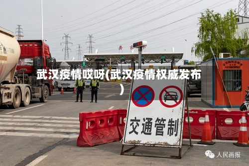 武汉疫情哎呀(武汉疫情权威发布)