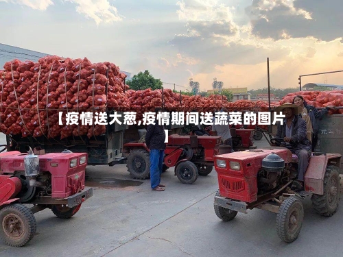 【疫情送大葱,疫情期间送蔬菜的图片】