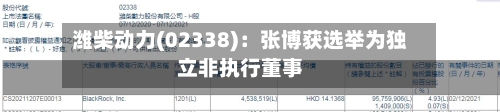 潍柴动力(02338):张博获选举为独立非执行董事