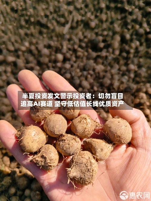 半夏投资发文警示投资者:切勿盲目追高AI赛道 坚守低估值长线优质资产-第2张图片