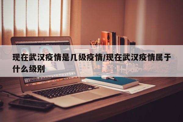 现在武汉疫情是几级疫情/现在武汉疫情属于什么级别