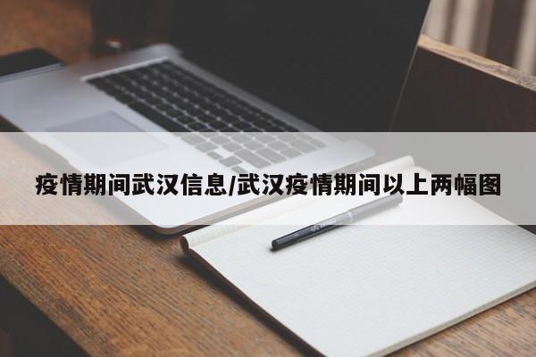 疫情期间武汉信息/武汉疫情期间以上两幅图