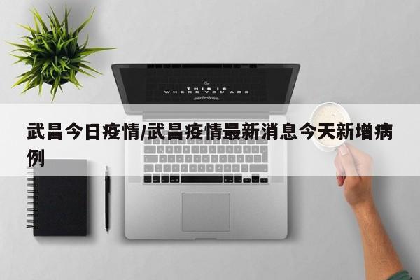 武昌今日疫情/武昌疫情最新消息今天新增病例