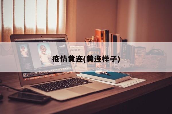 疫情黄连(黄连样子)
