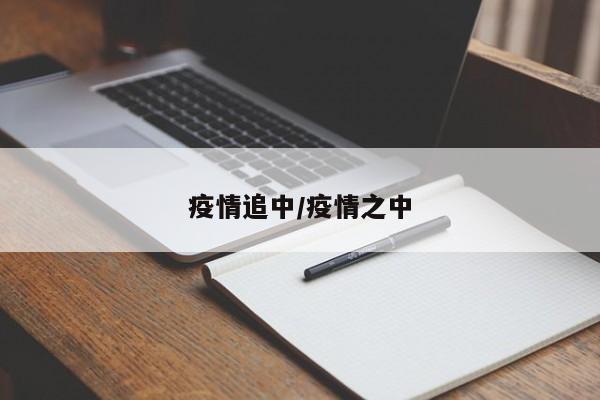 疫情追中/疫情之中