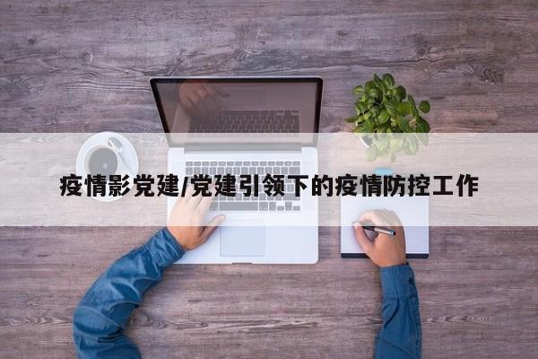 疫情影党建/党建引领下的疫情防控工作