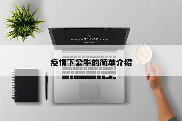 疫情下公牛的简单介绍