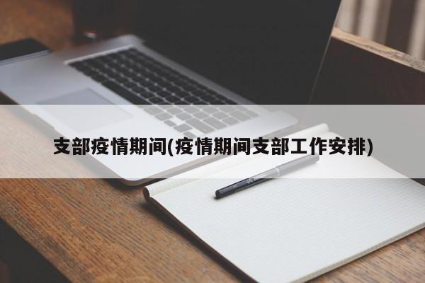 支部疫情期间(疫情期间支部工作安排)
