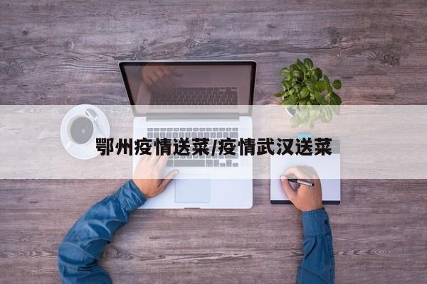 鄂州疫情送菜/疫情武汉送菜