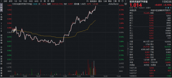 金融科技显著领涨，大智慧涨停！软件开发ETF华宝（159036）大涨3%！日k线低位攀升，右侧信号显现？